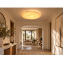 AM70020 Alabaster Flush-Mount Ceiling Light