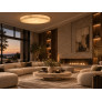 AM70020 Alabaster Flush-Mount Ceiling Light