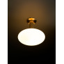 IQ4549 MERIDIAN FLUSH MOUNT