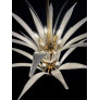 IQ4591 VINTAGE CHANDELIER