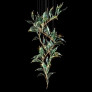 IQ4613 BRANCH LEAF SHAPE LED HANGING LIGHT