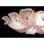 IQ4632 AMAZING PINK MURANO GLASS LEAVE CEILING LIGHT