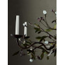 IQ4642 ORNAMENTAL OLIVE
