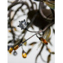 IQ4642 ORNAMENTAL OLIVE