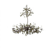 IQ4642 Ornamental Olive - Forged Iron