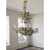 IQ4643 SPRING OAK TREE