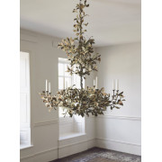 IQ4643 SPRING OAK TREE