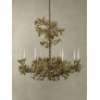 IQ4643 SPRING OAK TREE