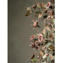 IQ4646 FLORAL MAY