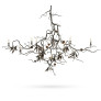 IQ4648 Queen Of The Night-Brass