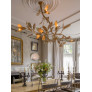 IQ4650 MAGNOLIA BRANCH