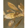 IQ4650 MAGNOLIA BRANCH