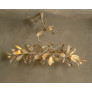 IQ4650 MAGNOLIA BRANCH