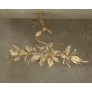 IQ4650 MAGNOLIA BRANCH