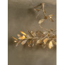 IQ4650 MAGNOLIA BRANCH