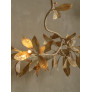 IQ4650 MAGNOLIA BRANCH