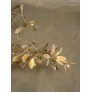 IQ4650 MAGNOLIA BRANCH