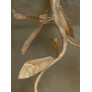 IQ4650 MAGNOLIA BRANCH