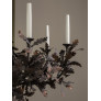 IQ4651 BRONZED OAK TREE