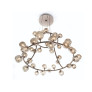 IQ4667 DUCALE