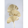 CJ109 PALM LEAF