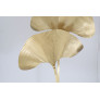 CJ109 PALM LEAF