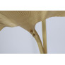 CJ109 PALM LEAF