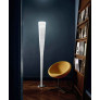 PS6009 MITE