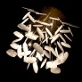 IQ3503 GRAVITY CHANDELIER