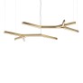 IQ3546 BRANCH PENDANT LAMP