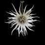 IQ3583 MEDUSA BY SIMONE CENEDESE CEILING LIGHT