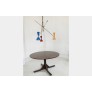 IQ3677 ITALIAN MID CENTURY STYLE ADJUSTABLE THREE-ARMS CHANDELIER WITH BRASS STRUCTURE