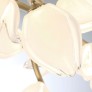 IQ3700 BELLUNO CHANDELIER