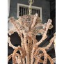 IQ3733 VINTAGE PALM BEACH SEASHELL CHANDELIER