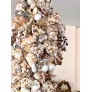 IQ3752 PALM BEACH STYLE SEASHELL SHELL ENCRUSTED 6 ARM CHANDELIER