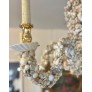 IQ3752 PALM BEACH STYLE SEASHELL SHELL ENCRUSTED 6 ARM CHANDELIER