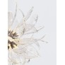 IQ4205 DANDELION FLOCCUS LARGE