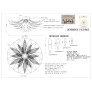 IQ4206 DANDELION HANA MEDIUM