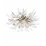 IQ4206 DANDELION HANA MEDIUM