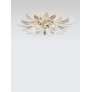IQ4206 DANDELION HANA MEDIUM
