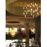 IQ4336 THELIGHT