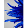 IQ4356 URCHIN CHANDELIER LARGE
