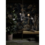 IQ4389 TULIP CEILING LIGHT
