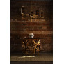 IQ4393 SALPERTON CEILING LIGHT