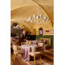 IQ4396 COMPTON CEILING LIGHT