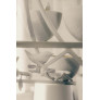 IQ4400 PARADISO CEILING LIGHT