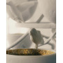 IQ4400 PARADISO CEILING LIGHT