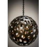 IQ4469 RADIOLARIAN