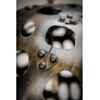 IQ4469 RADIOLARIAN