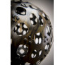 IQ4469 RADIOLARIAN